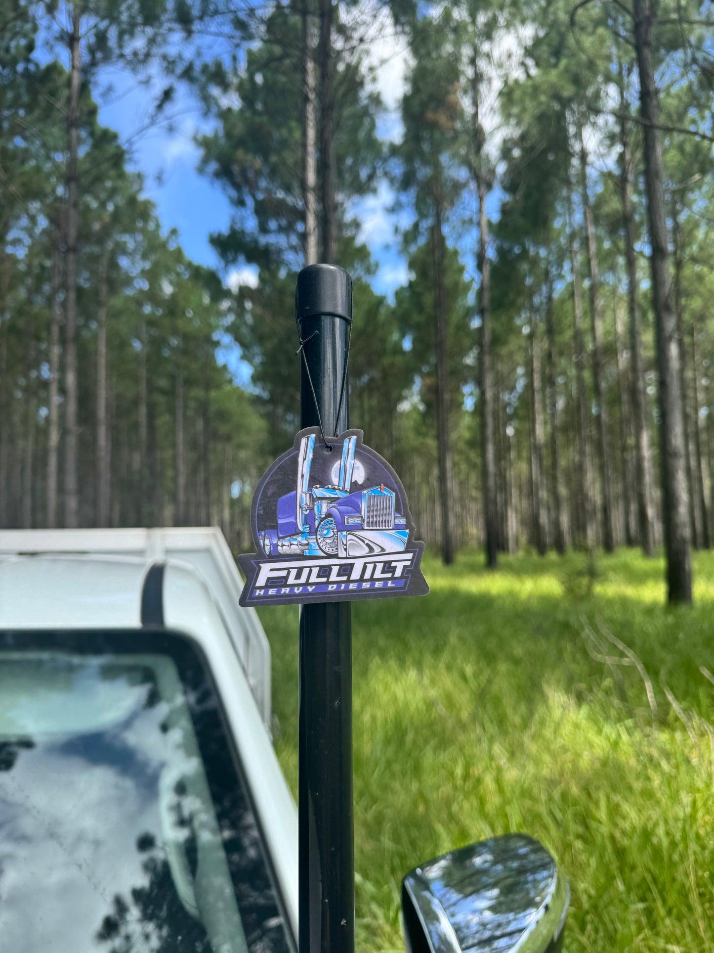 Car Air Fresheners